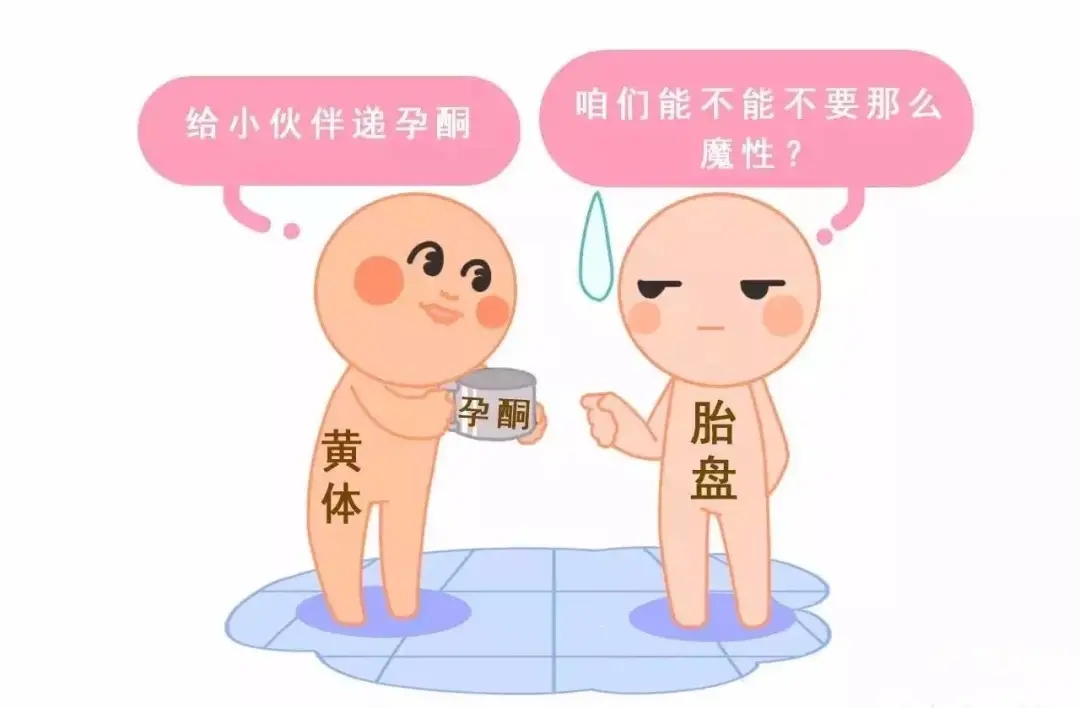 HCG和孕酮低一定會(huì)流產(chǎn)？備孕女性必須知道的孕早期“秘密”