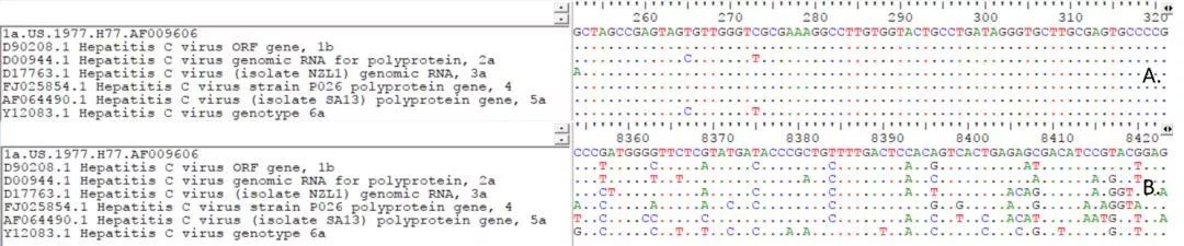 A.5’端非編碼區(qū)序列；B.NS5序列